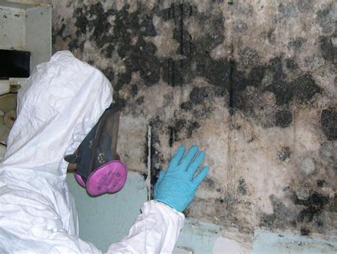 musty smell after mold remediation